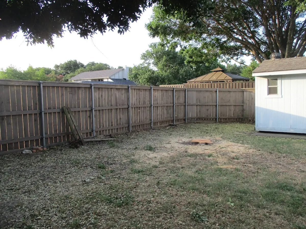 Cleared yard after professional tree removal in Corsica